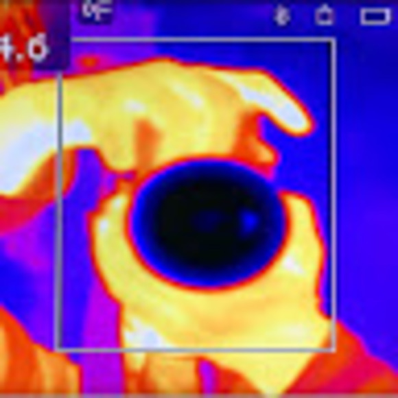 Meet your Posher, James - Picture 8 of 9